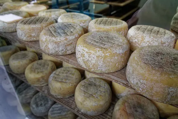 Bruny Island Cheese (3)